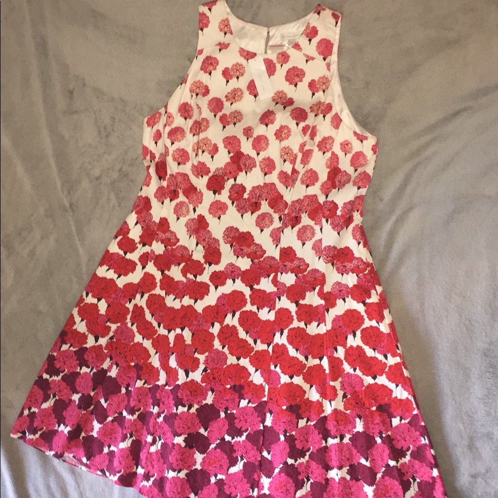 Fit and Flare Dress